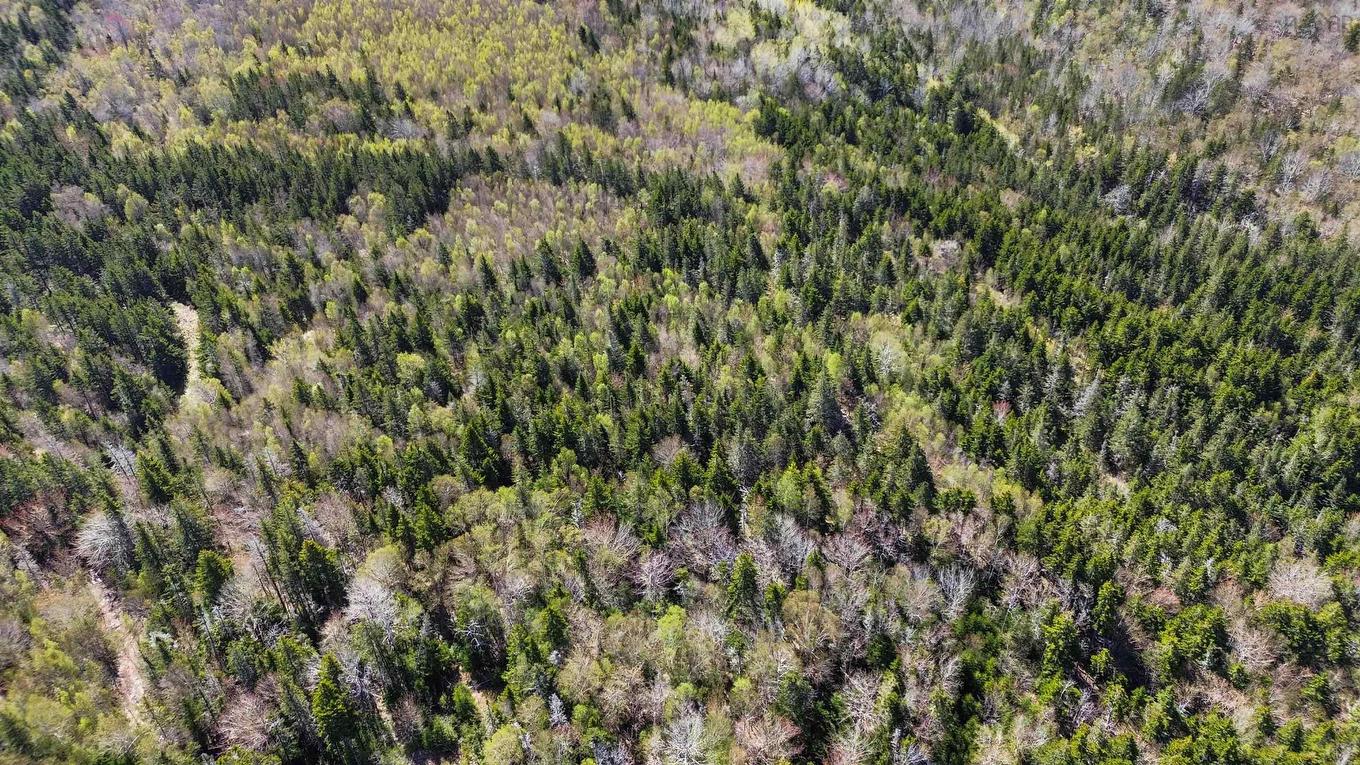 Lot Port Lorne Road, Port Lorne, NS