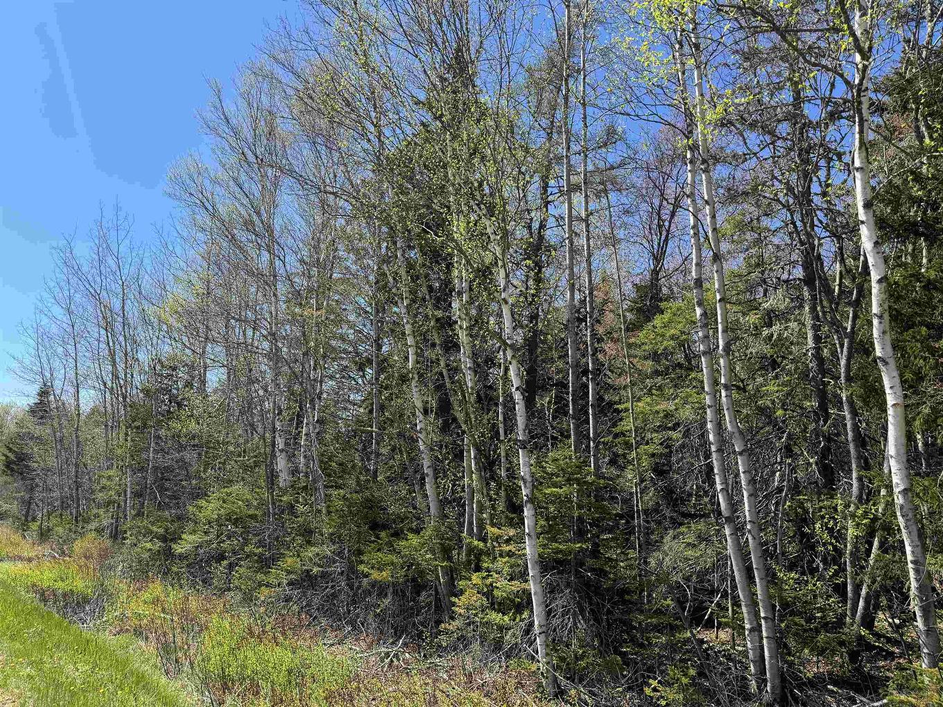 Lot 4 Highway 509, Lower Maccan, NS