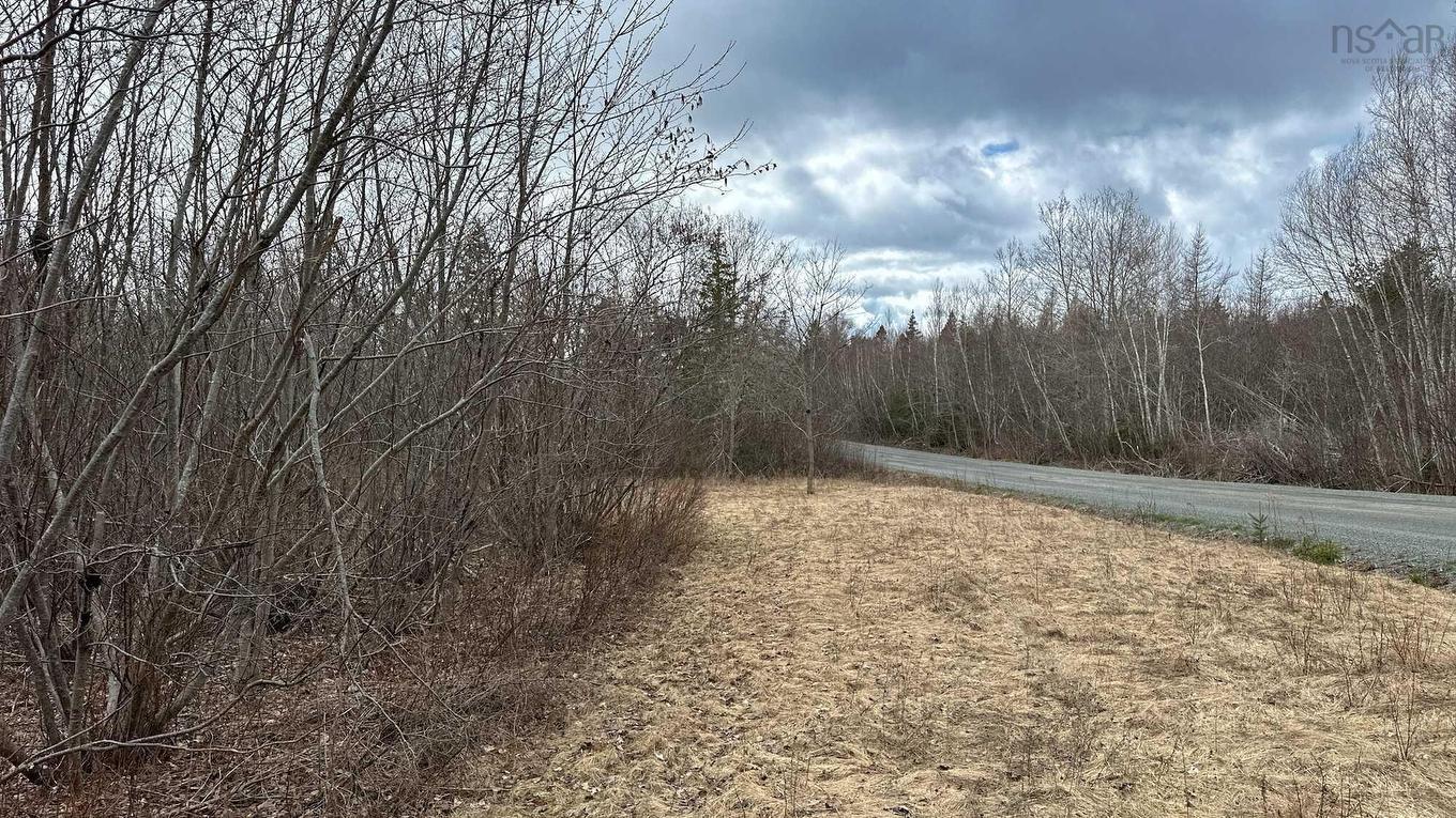 94-1 Angevine Road, Angevine Lake, NS