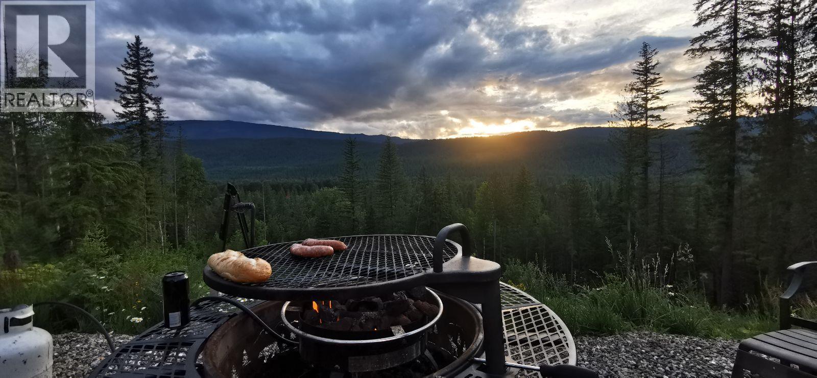 1446 Nittel Road, Seymour Arm, BC - Outdoor With View