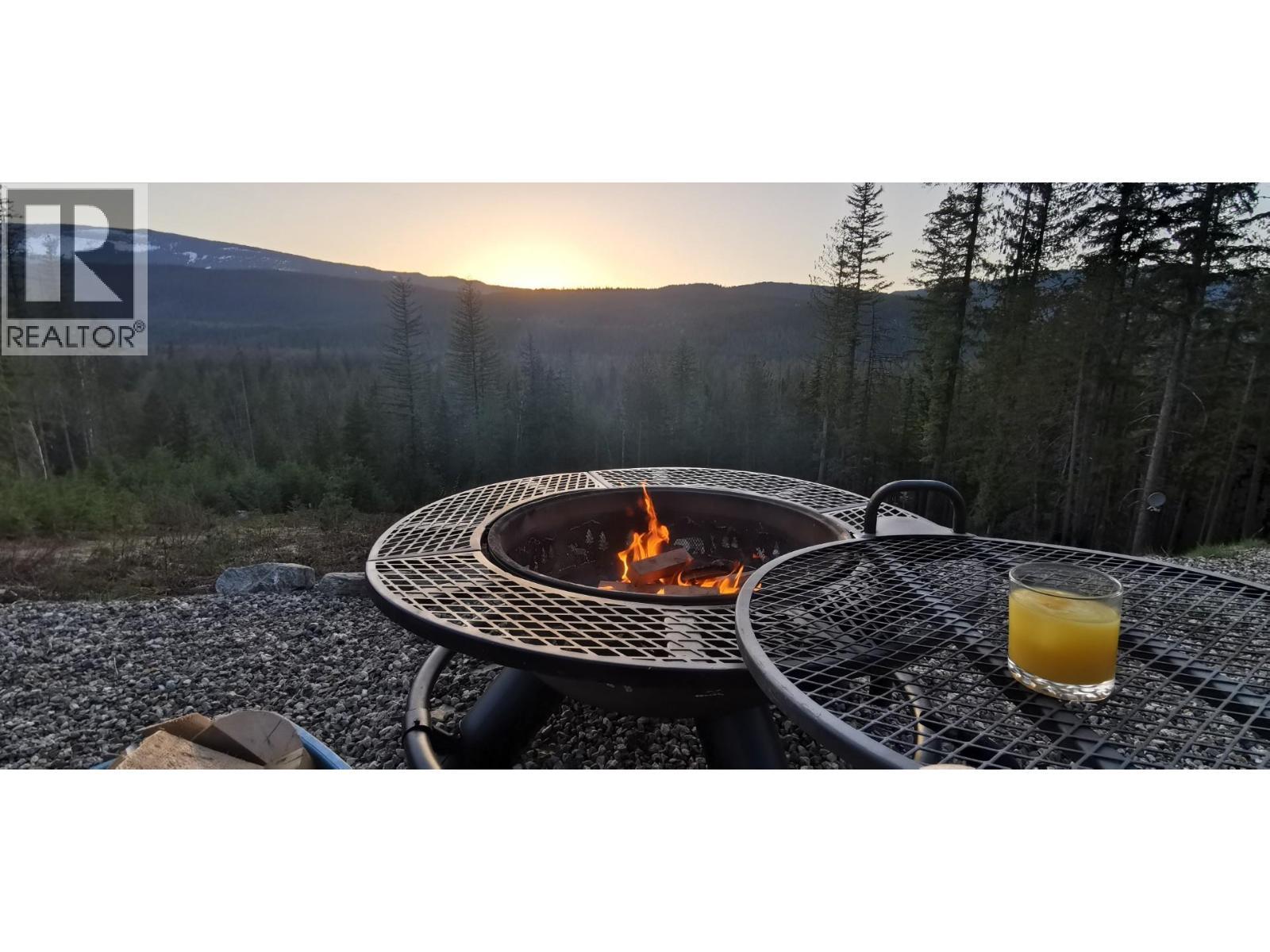 1446 Nittel Road, Seymour Arm, BC - Outdoor