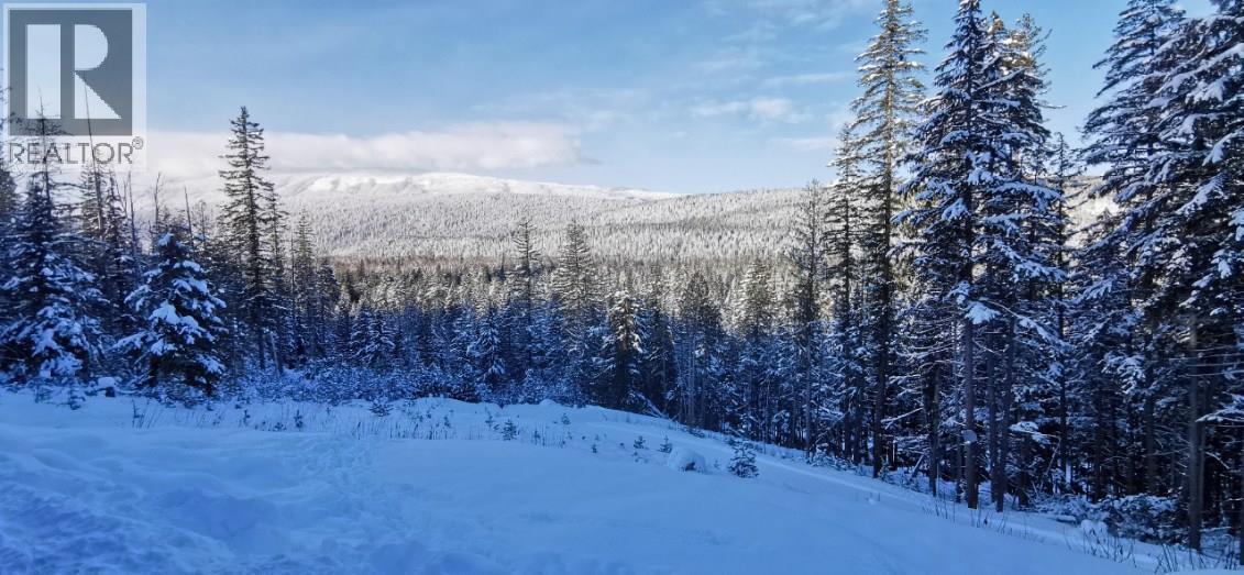 1446 Nittel Road, Seymour Arm, BC - Outdoor