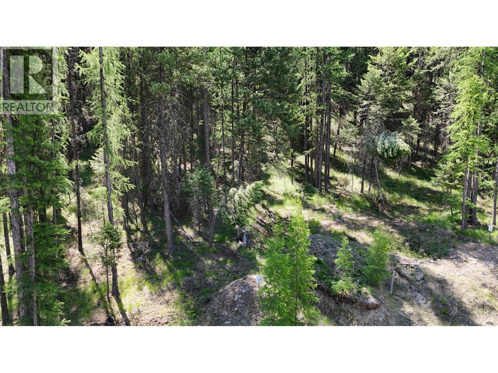 Sl 55 Osprey Landing View, Wardner, BC