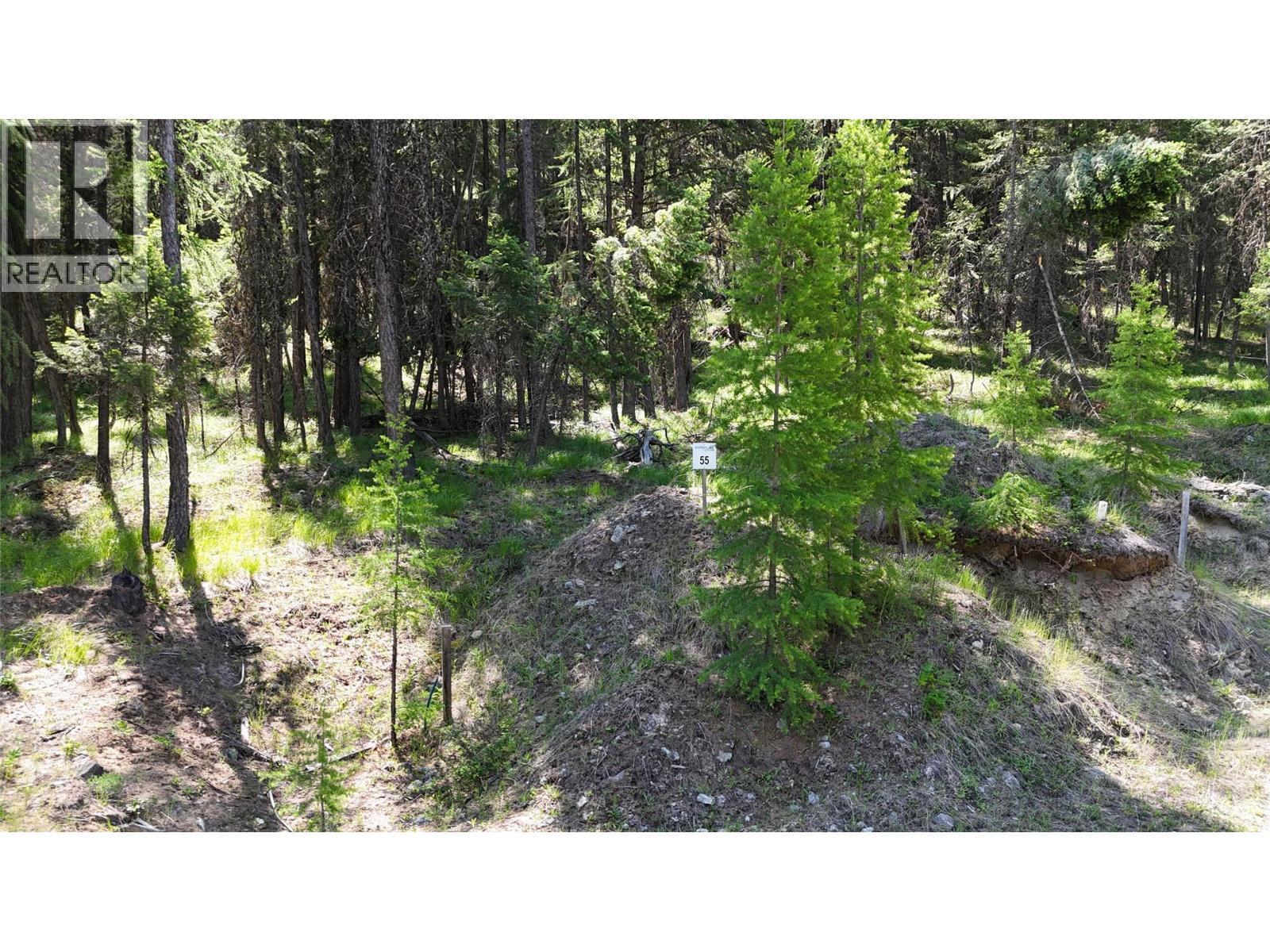 Sl 55 Osprey Landing View, Wardner, BC