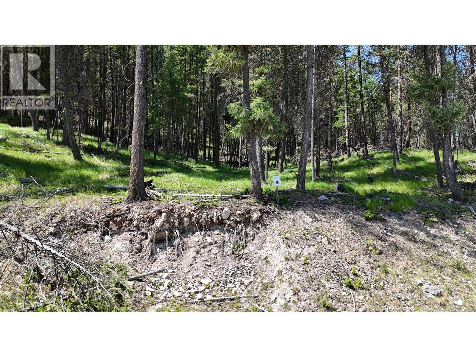 Sl46 Osprey Landing Drive, Wardner, BC