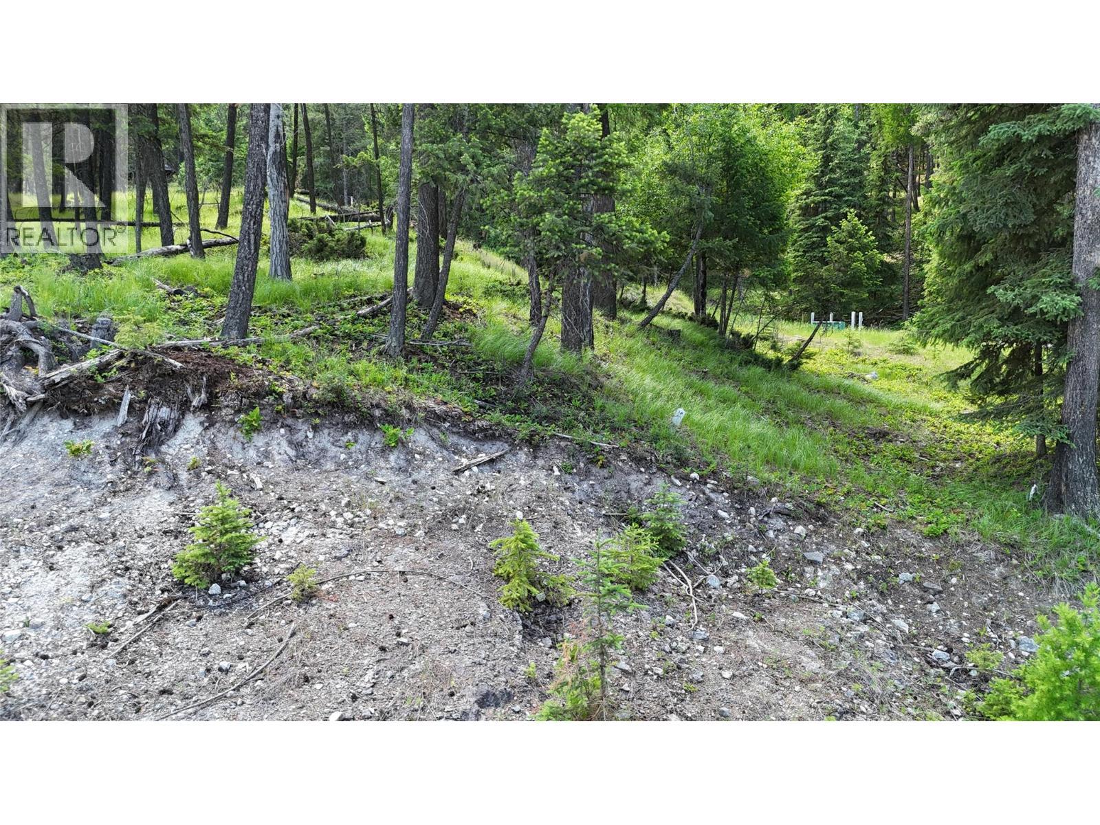 Sl44 Osprey Landing Drive, Wardner, BC