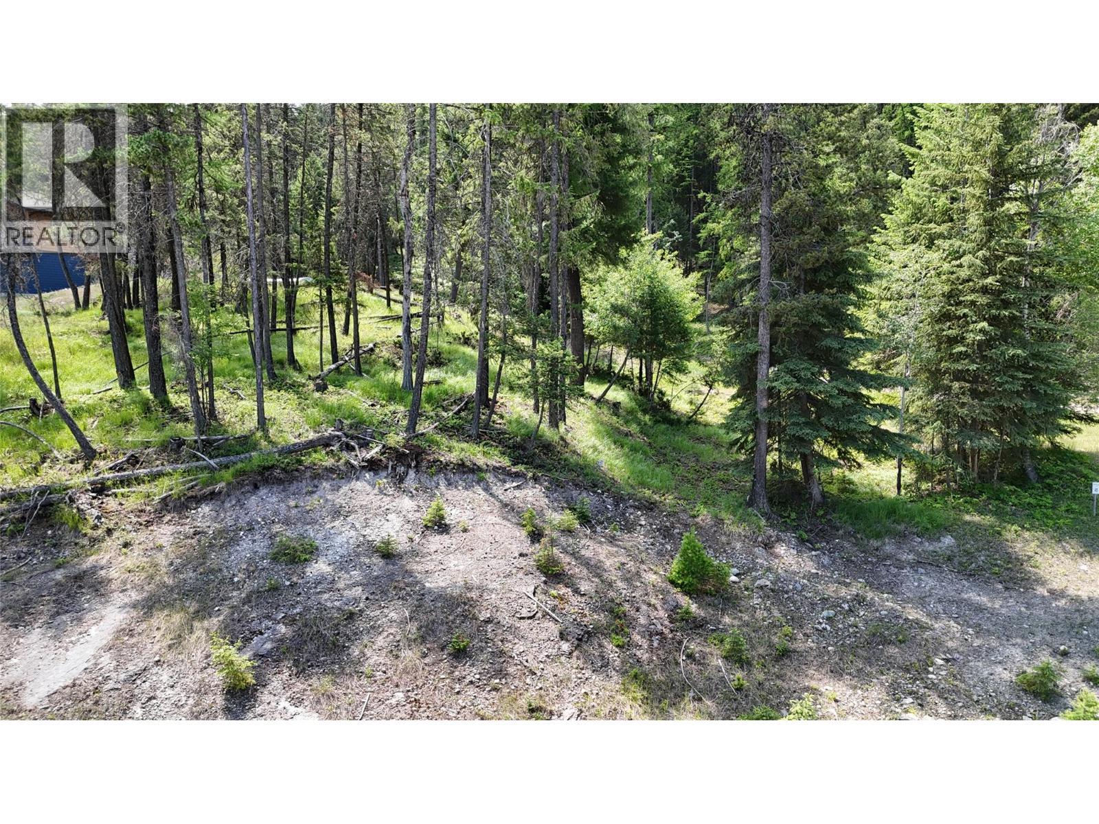 Sl44 Osprey Landing Drive, Wardner, BC