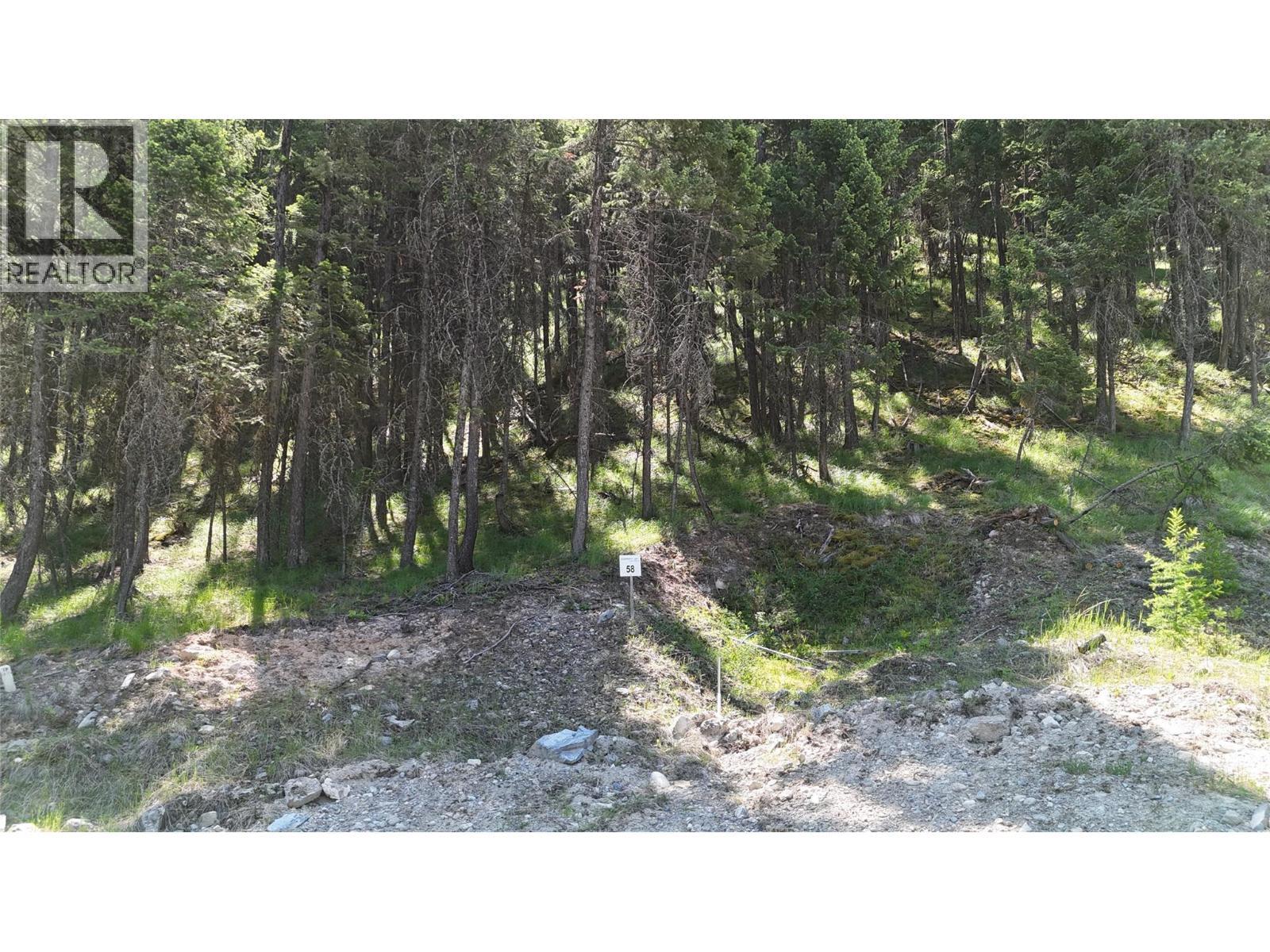 Sl58 Osprey Landing View, Wardner, BC