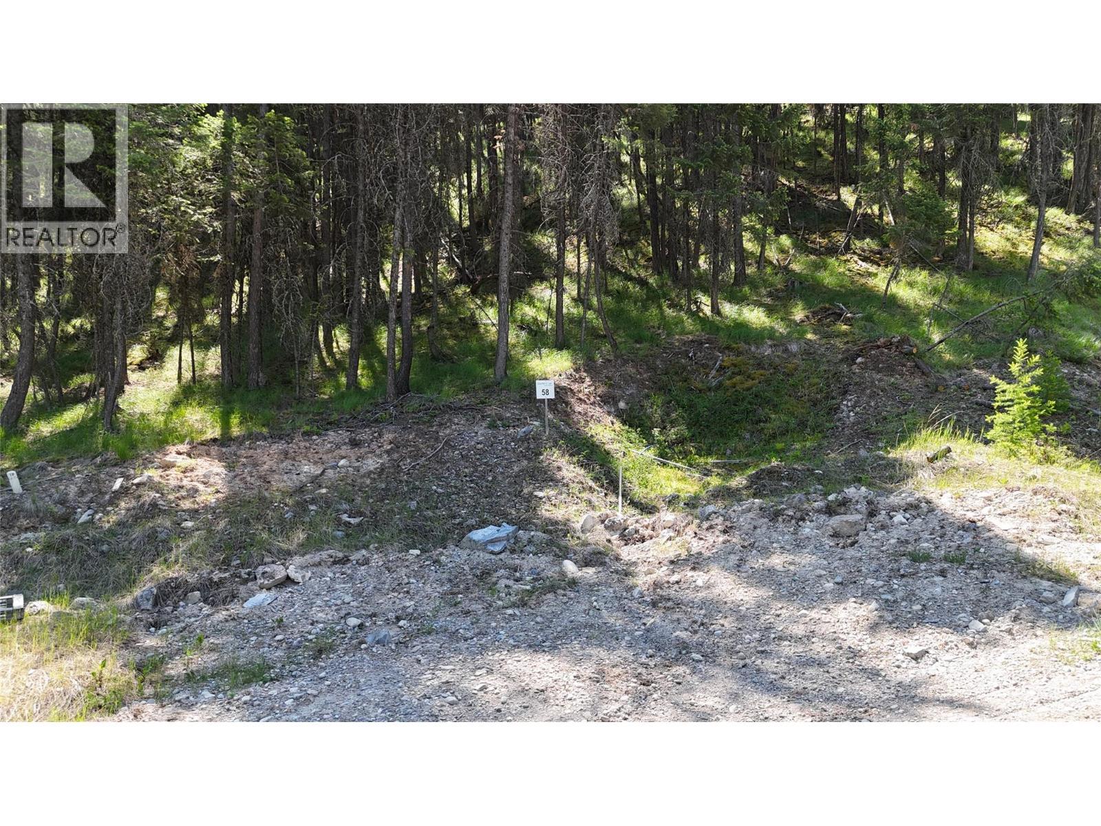Sl58 Osprey Landing View, Wardner, BC