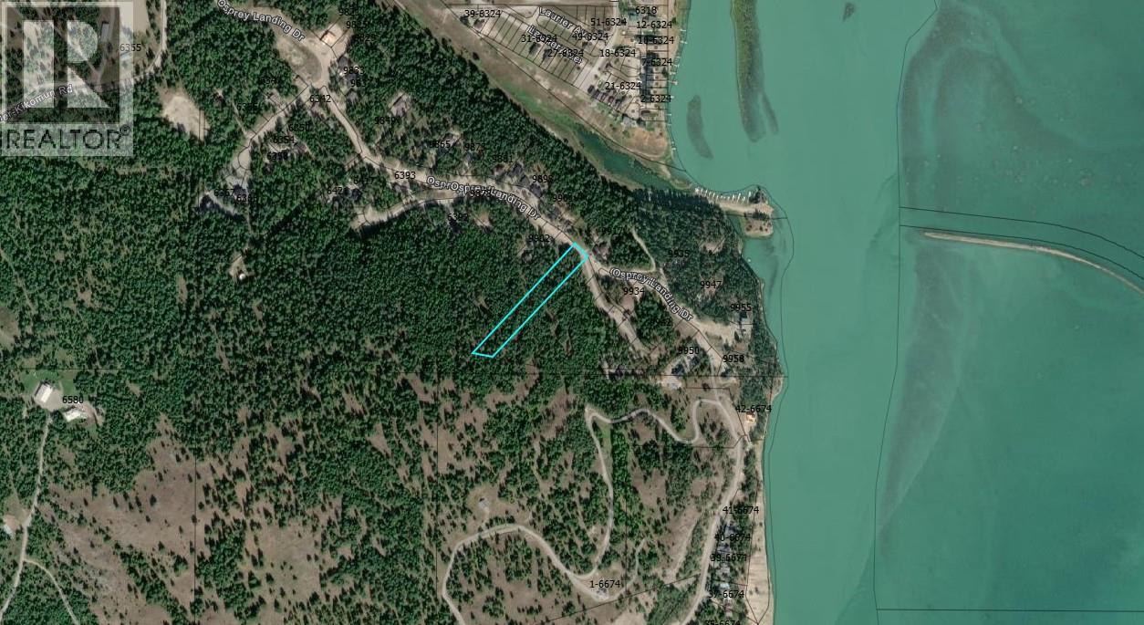 Sl47 Osprey Landing Drive, Wardner, BC