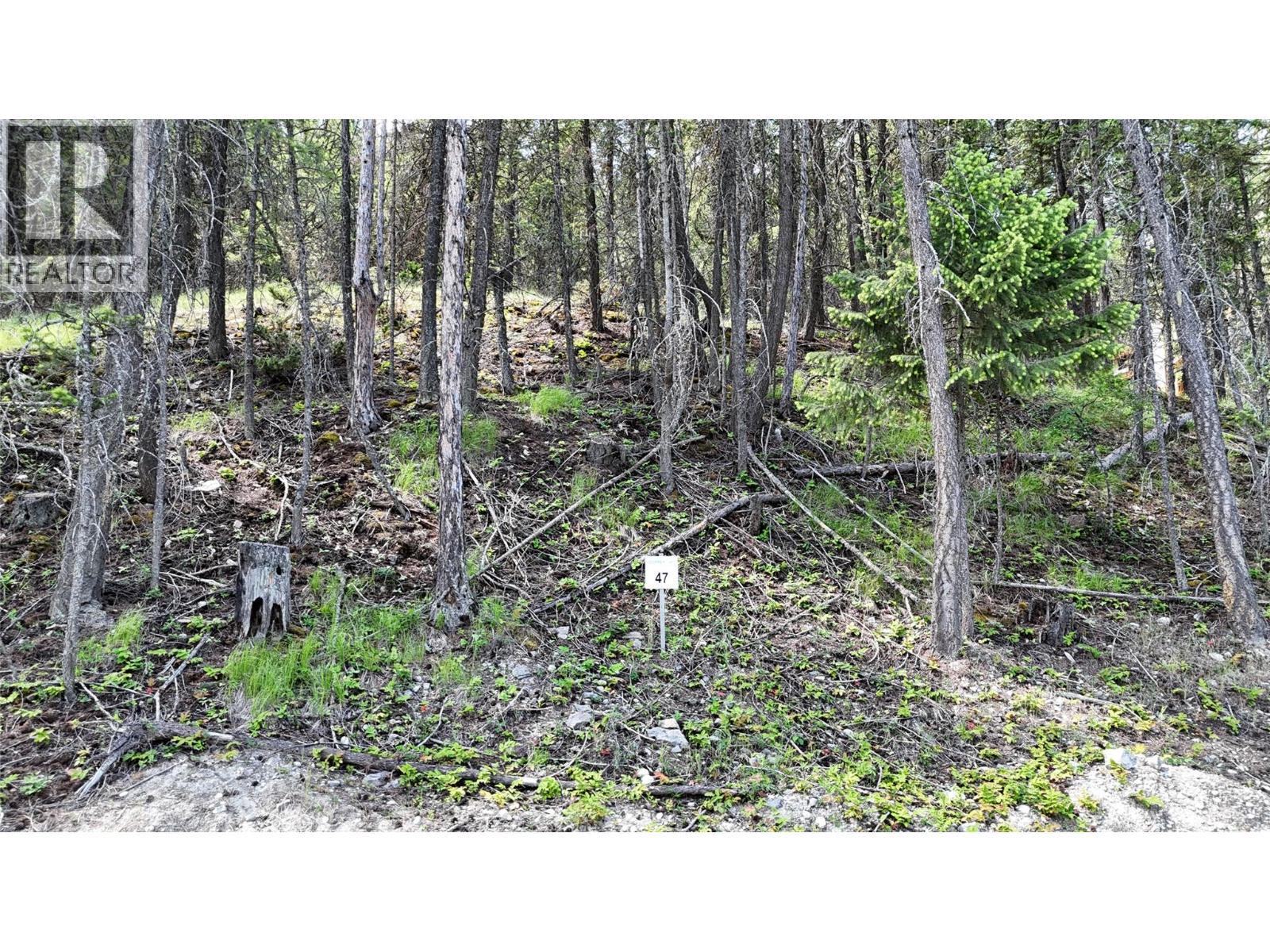 Sl47 Osprey Landing Drive, Wardner, BC