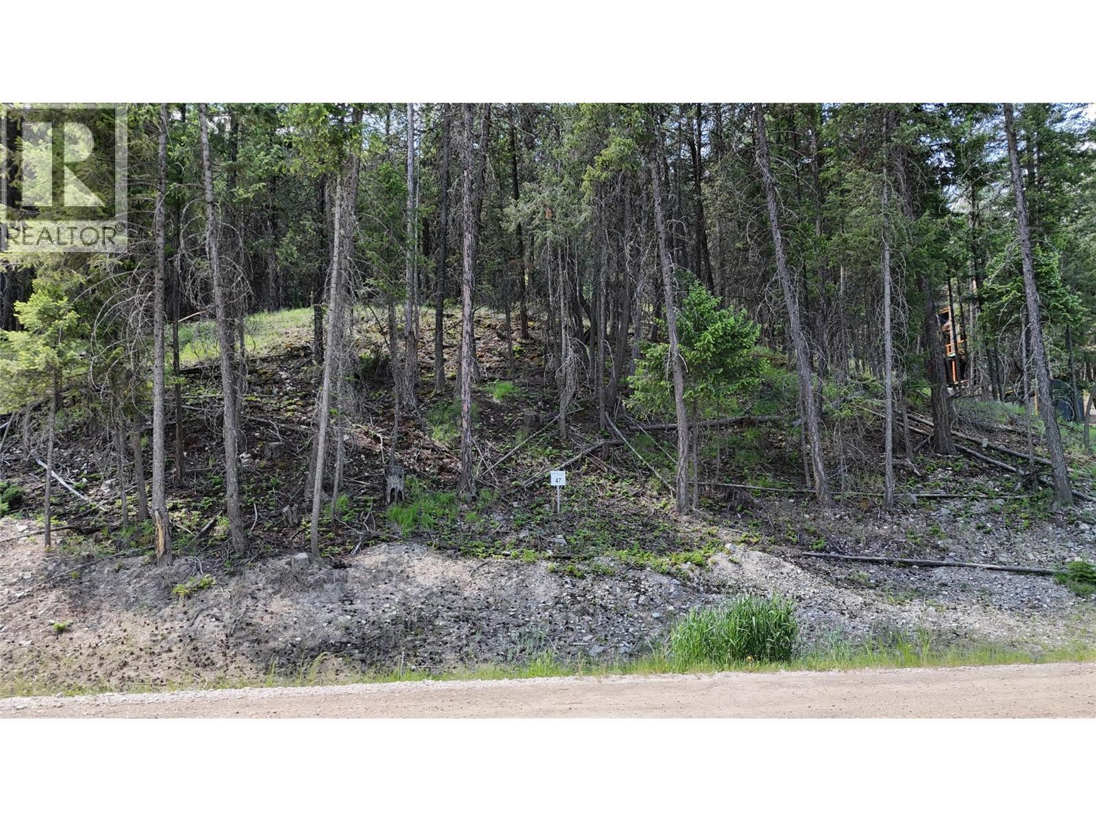 Sl47 Osprey Landing Drive, Wardner, BC