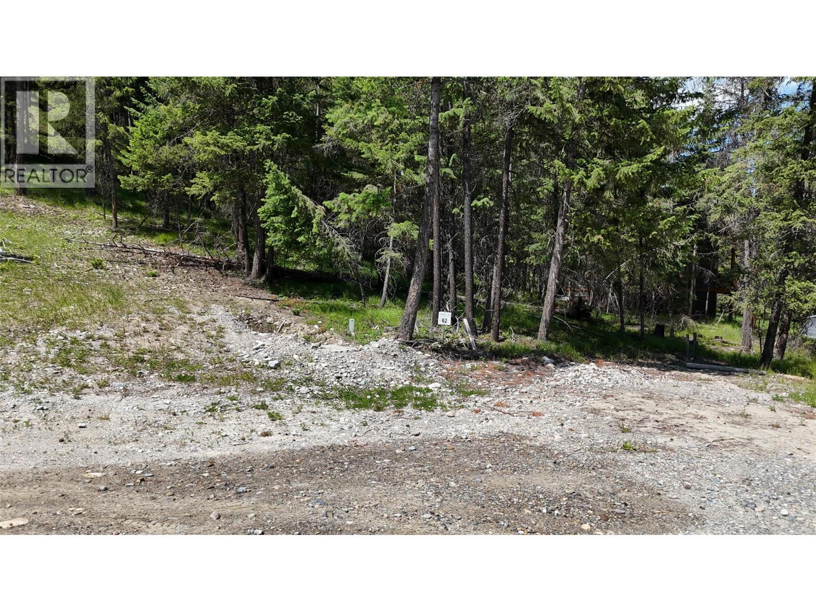 Sl62 Osprey Landing View, Wardner, BC