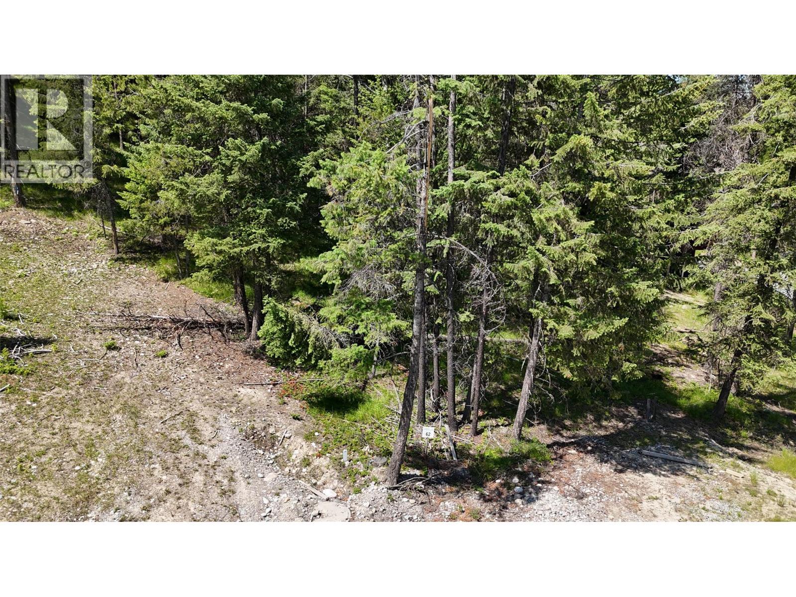 Sl62 Osprey Landing View, Wardner, BC