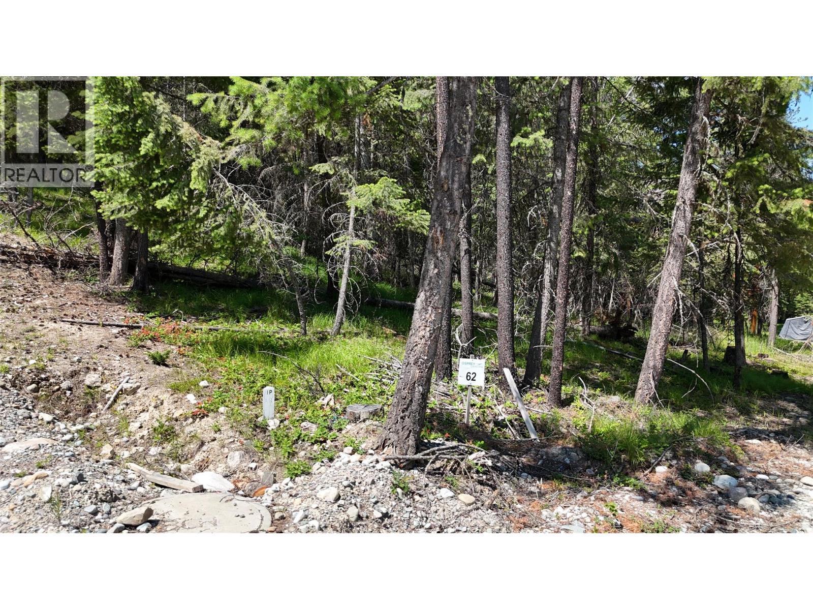Sl62 Osprey Landing View, Wardner, BC