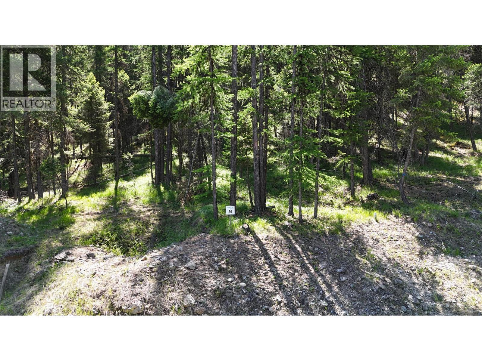 Sl 56 Osprey Landing View, Wardner, BC