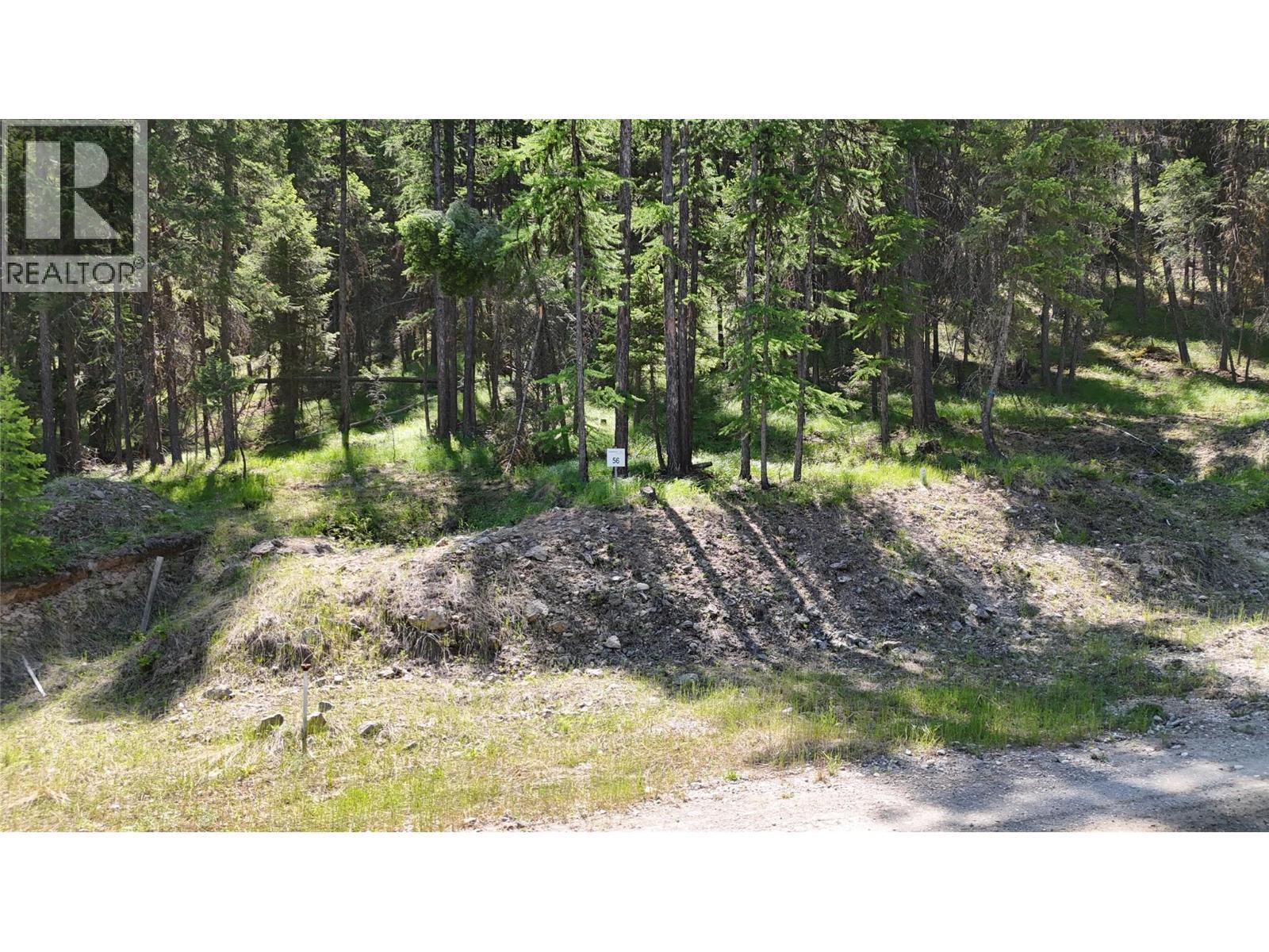 Sl 56 Osprey Landing View, Wardner, BC