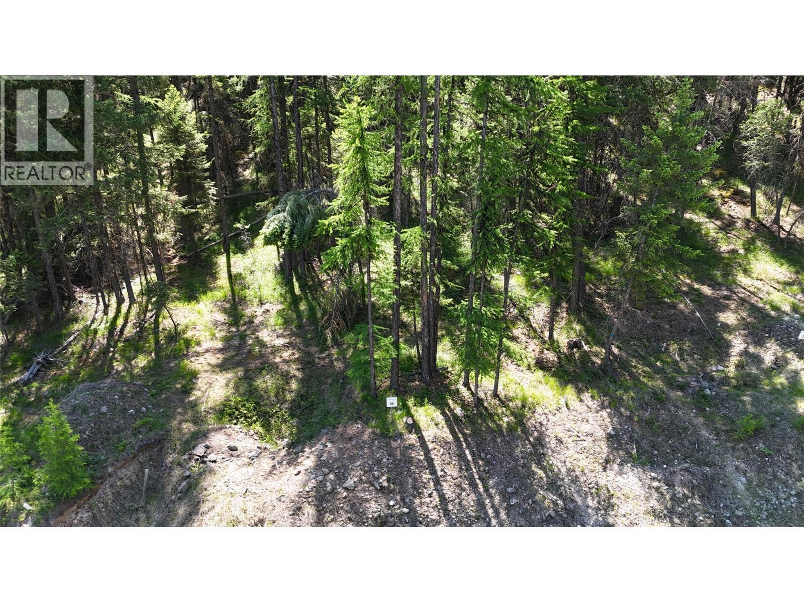 Sl 56 Osprey Landing View, Wardner, BC