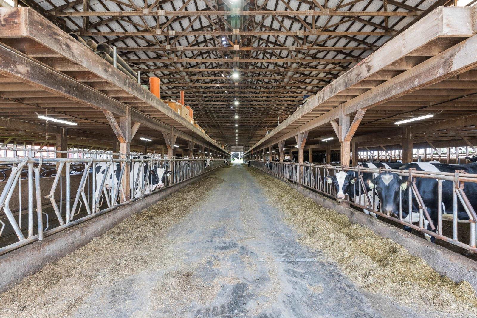 42238 Sinclair Road|Greendale, Sardis - Greendale, BC