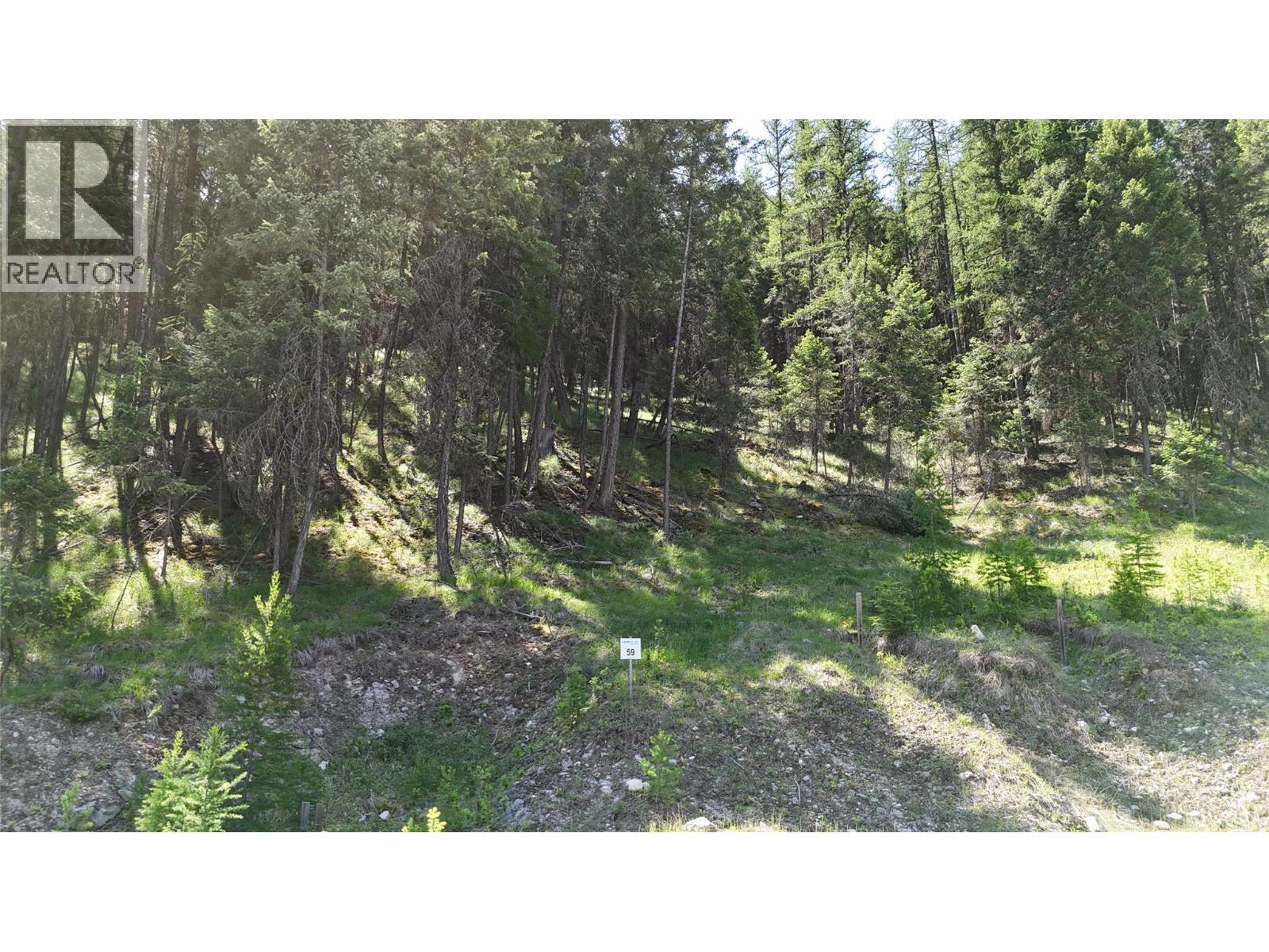 Sl59 Osprey Landing View, Wardner, BC