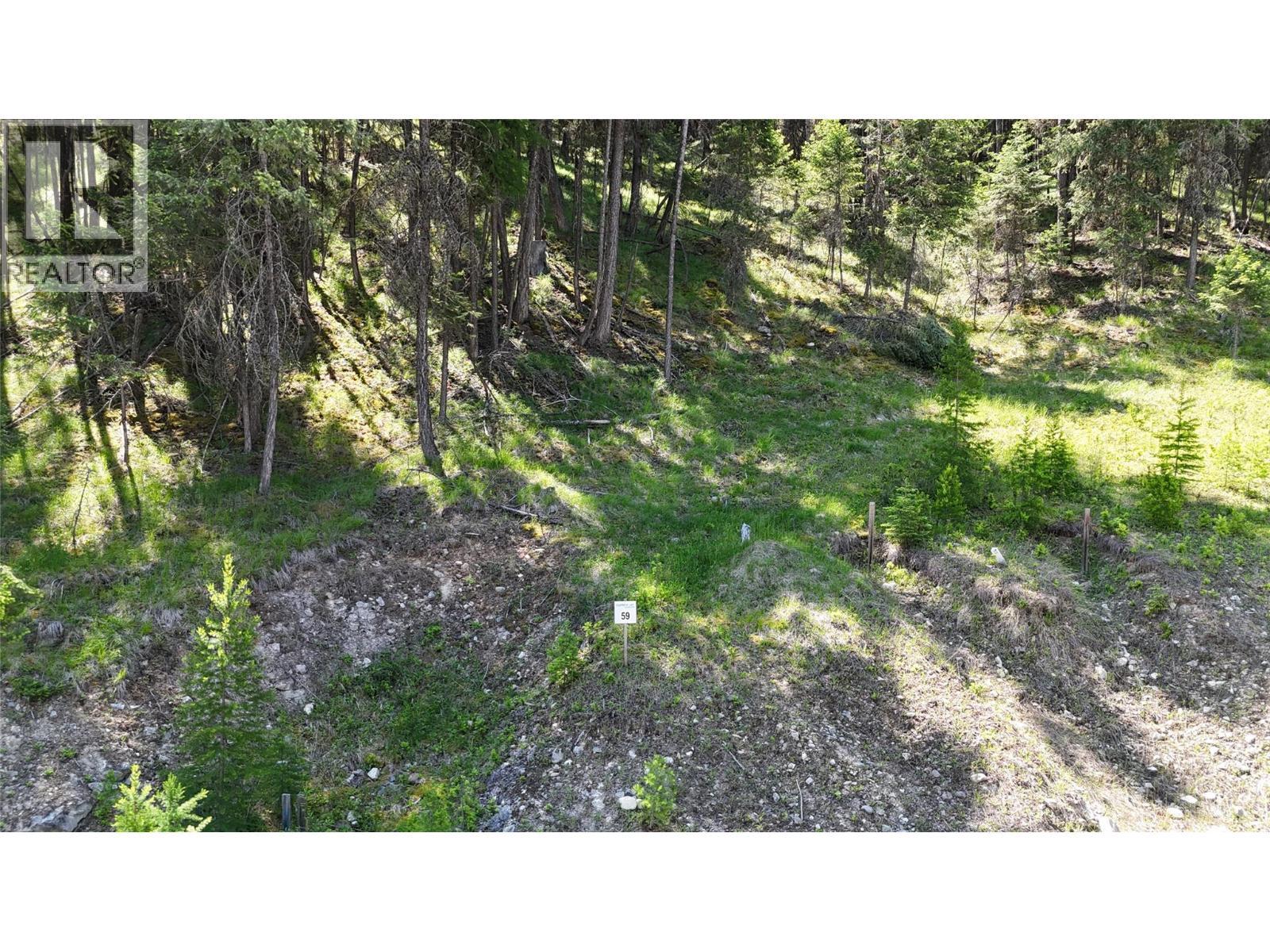 Sl59 Osprey Landing View, Wardner, BC