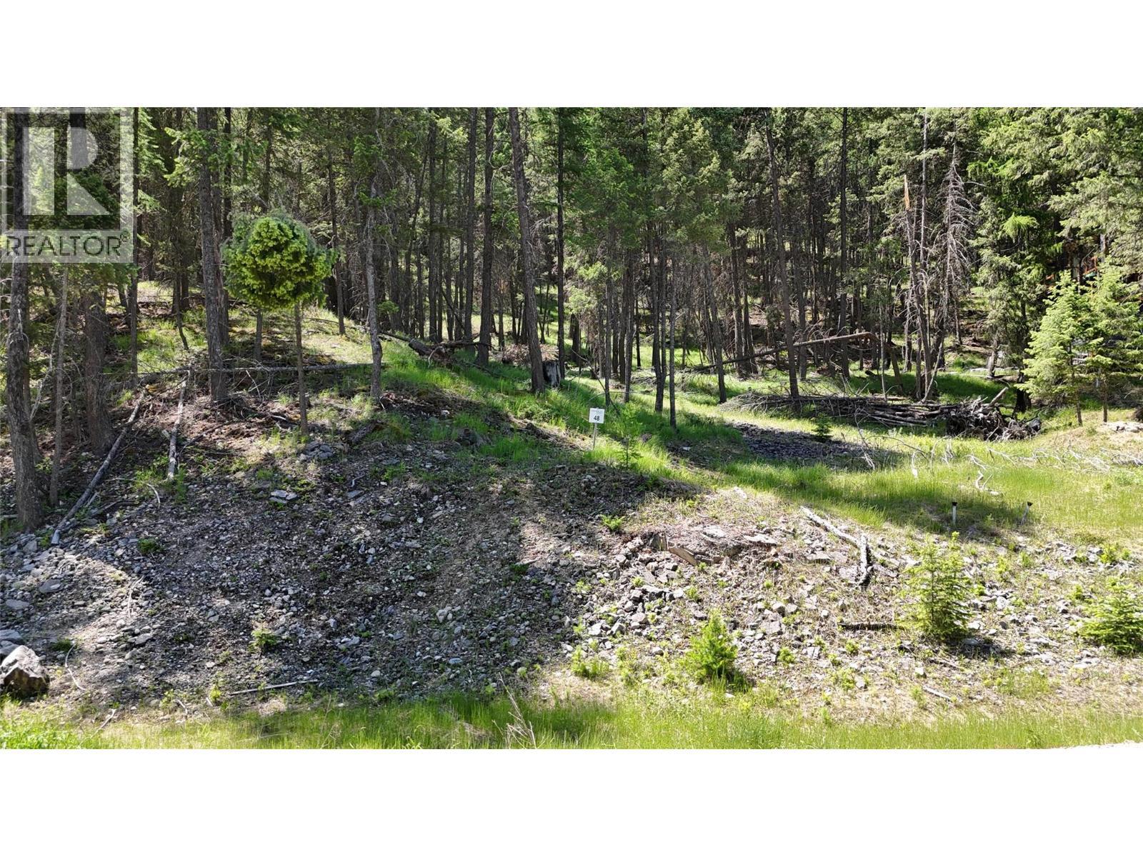 Sl48 Osprey Landing Drive, Wardner, BC