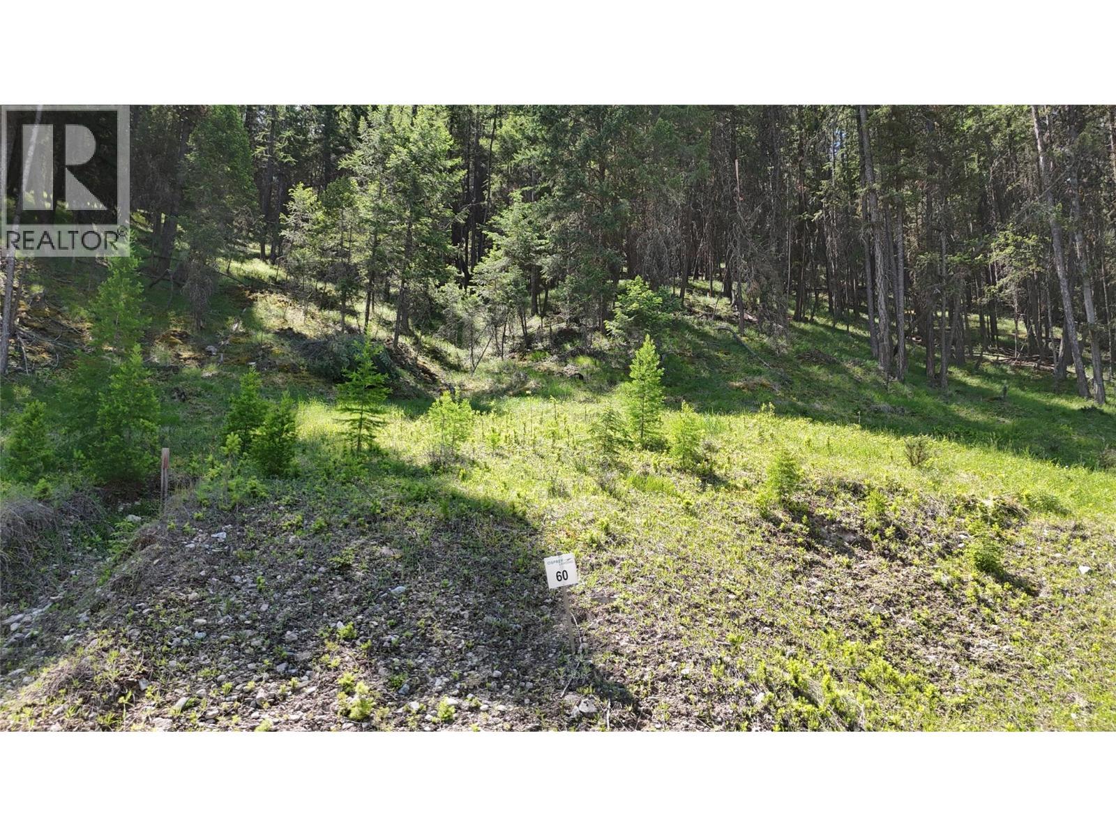 Sl60 Osprey Landing View, Wardner, BC