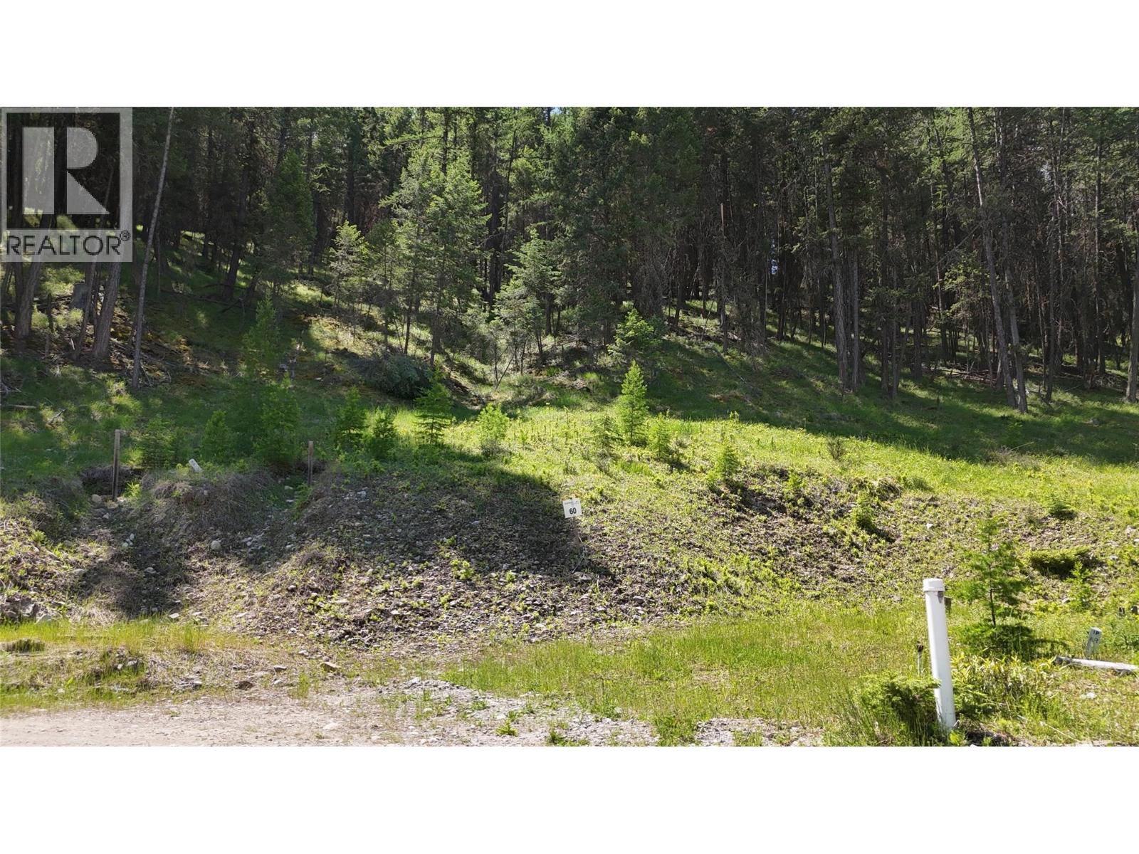 Sl60 Osprey Landing View, Wardner, BC