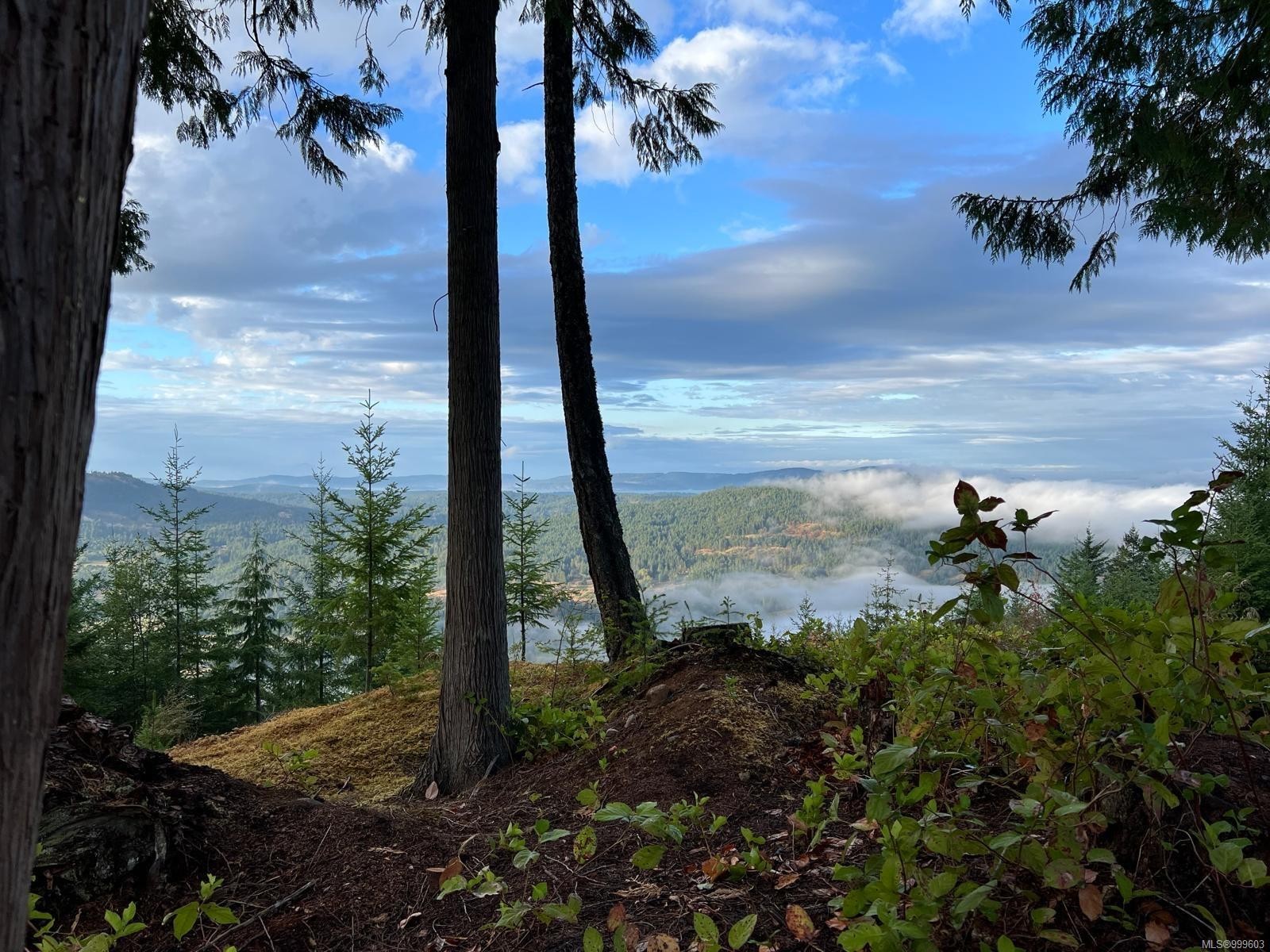 1172 Musgrave Rd, Salt Spring, BC