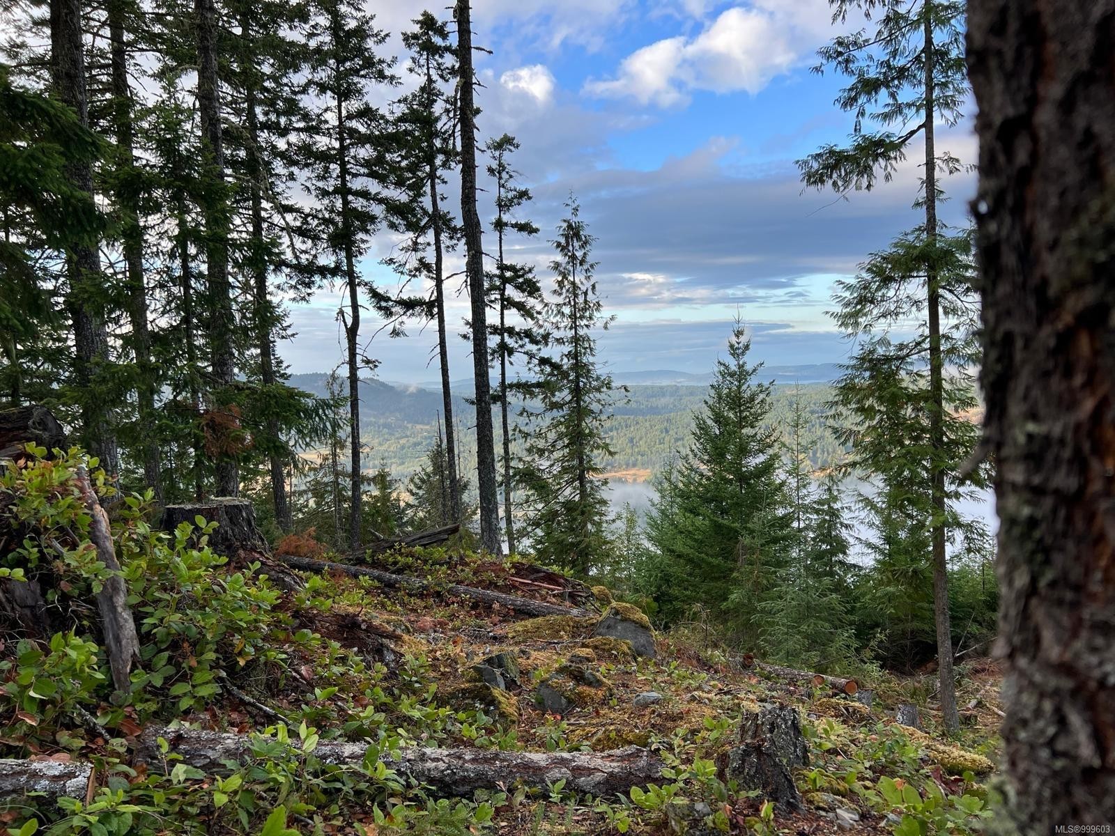 1172 Musgrave Rd, Salt Spring, BC