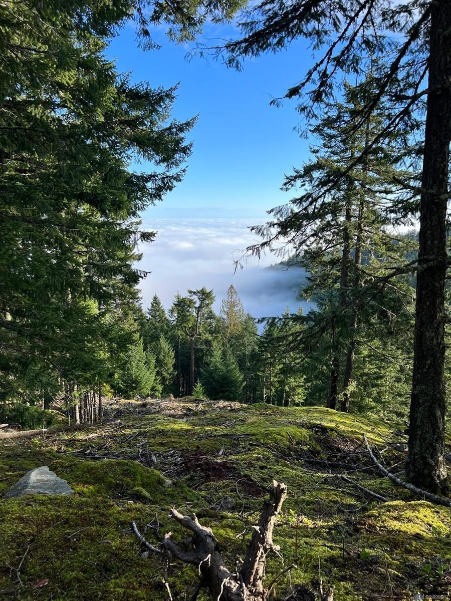 1172 Musgrave Rd, Salt Spring, BC