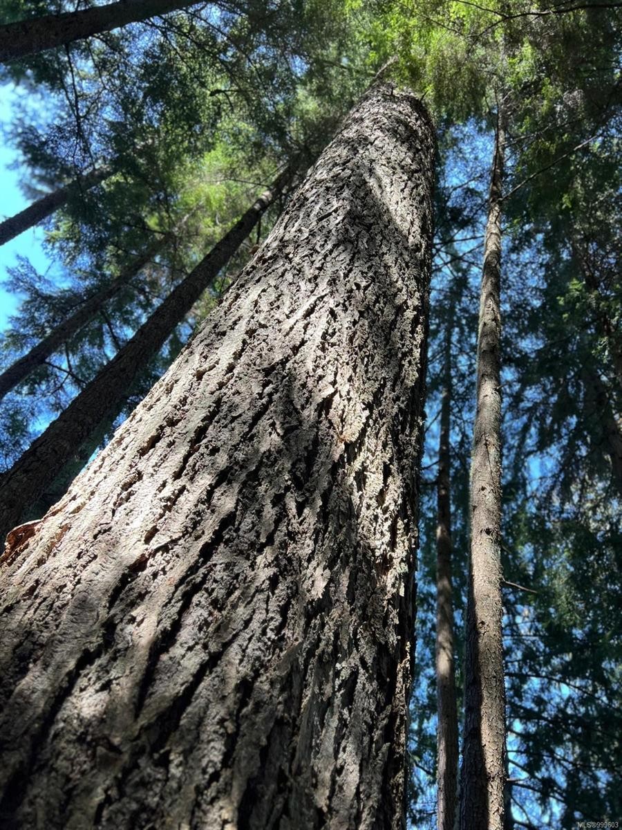 1172 Musgrave Rd, Salt Spring, BC