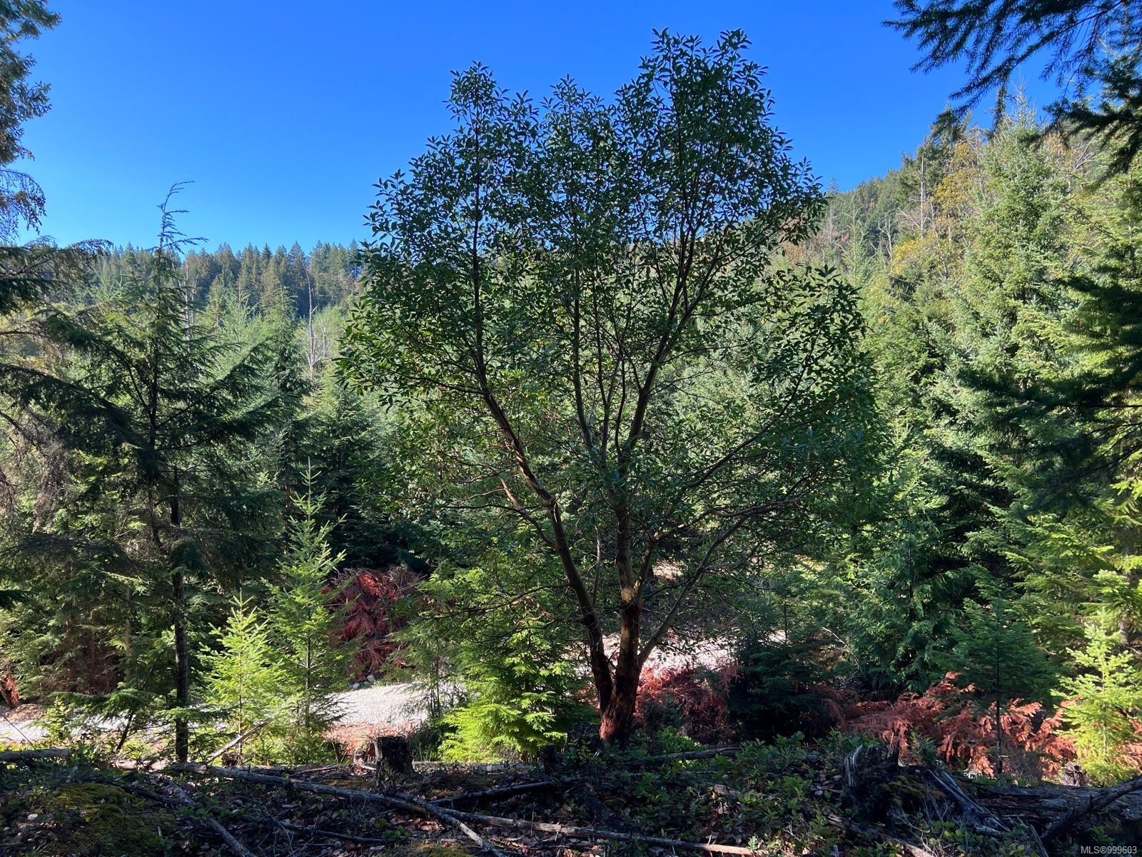 1172 Musgrave Rd, Salt Spring, BC