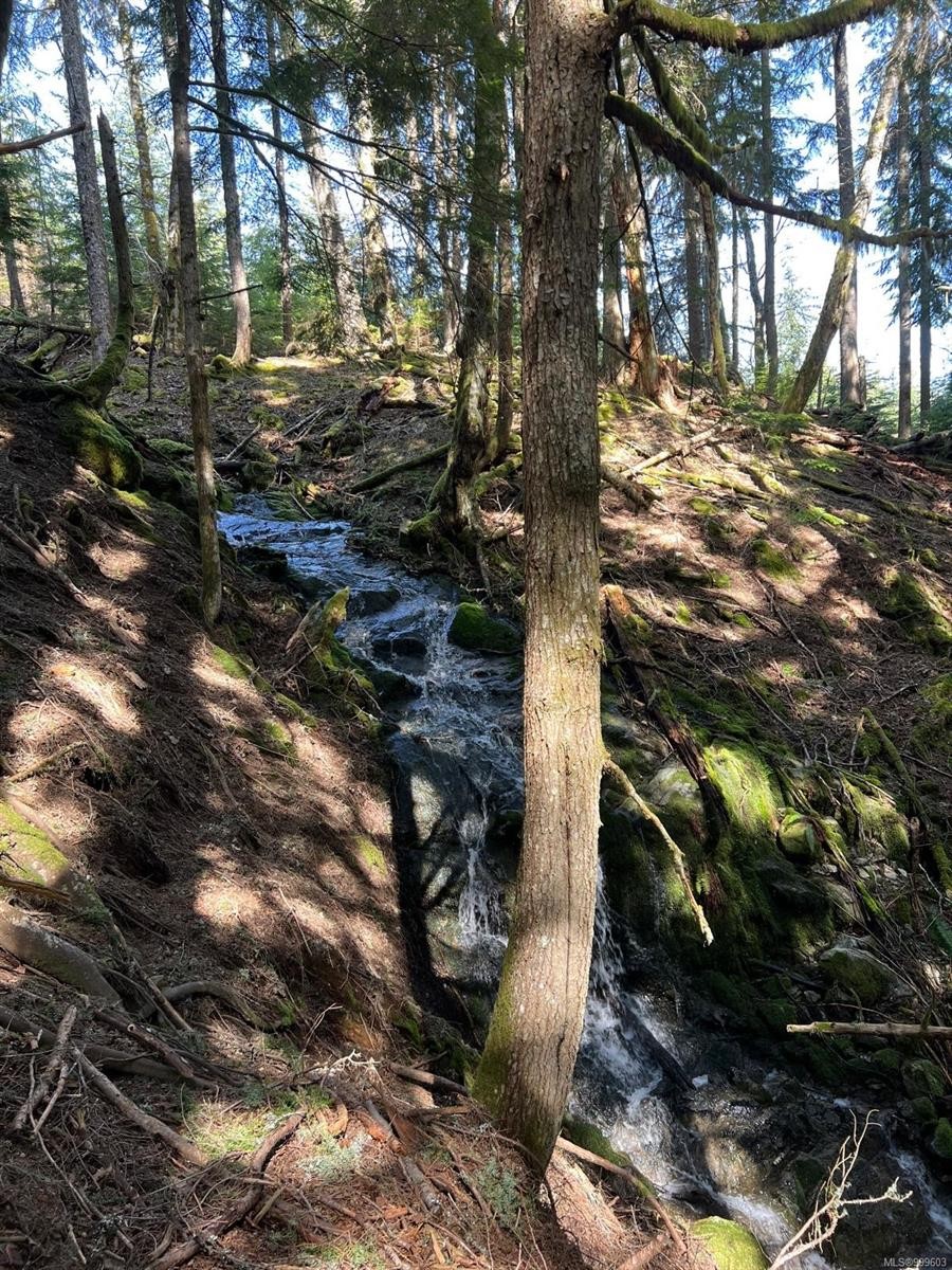 1172 Musgrave Rd, Salt Spring, BC