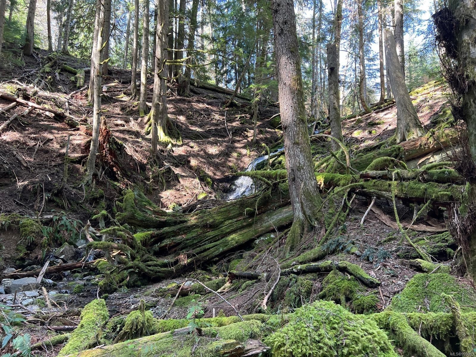 1172 Musgrave Rd, Salt Spring, BC