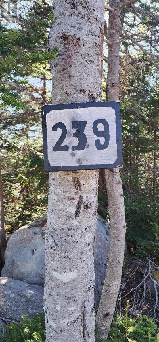 239 Mobile First Pond Road, Mobile, NL - Outdoor With View