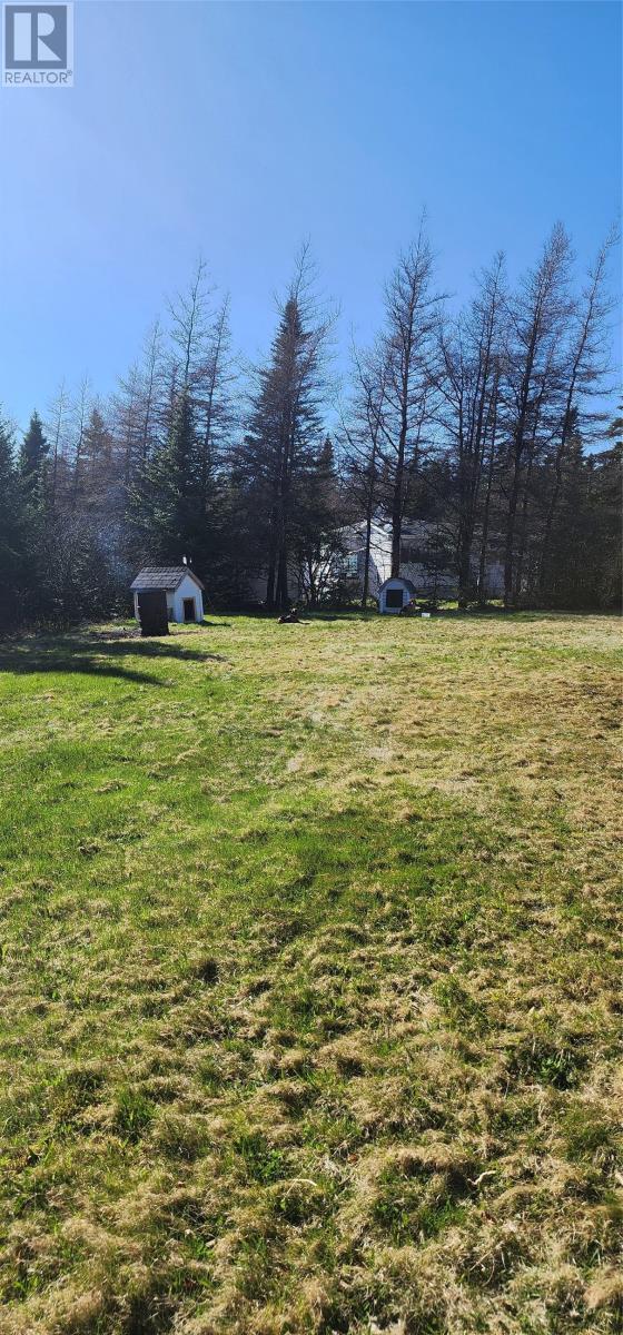 239 Mobile First Pond Road, Mobile, NL - Outdoor With View