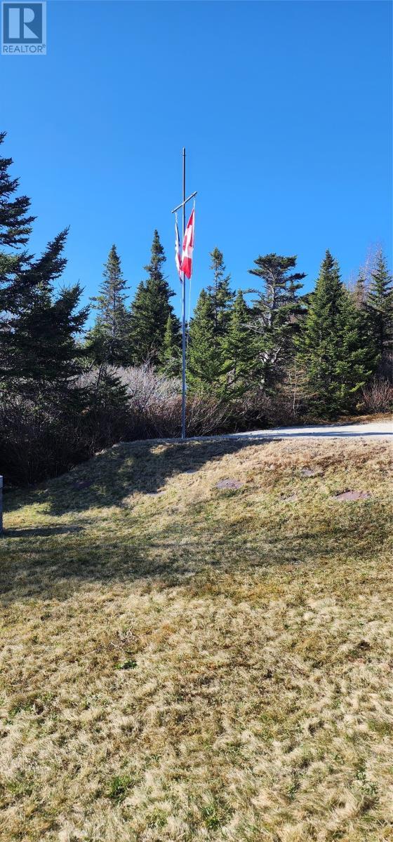 239 Mobile First Pond Road, Mobile, NL - Outdoor With View