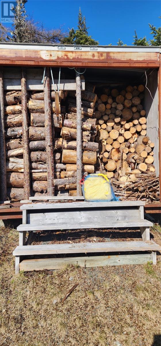 239 Mobile First Pond Road, Mobile, NL - Outdoor With View