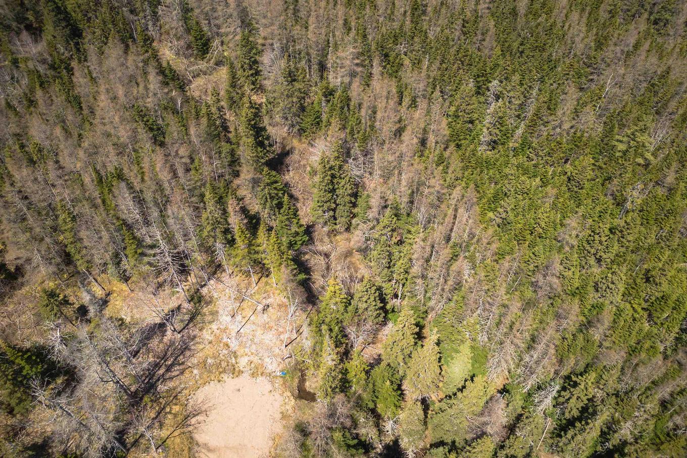 Lot 6 Highway 4, Cleveland, NS