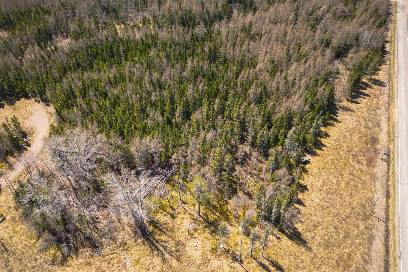 Lot 6 Highway 4, Cleveland, NS