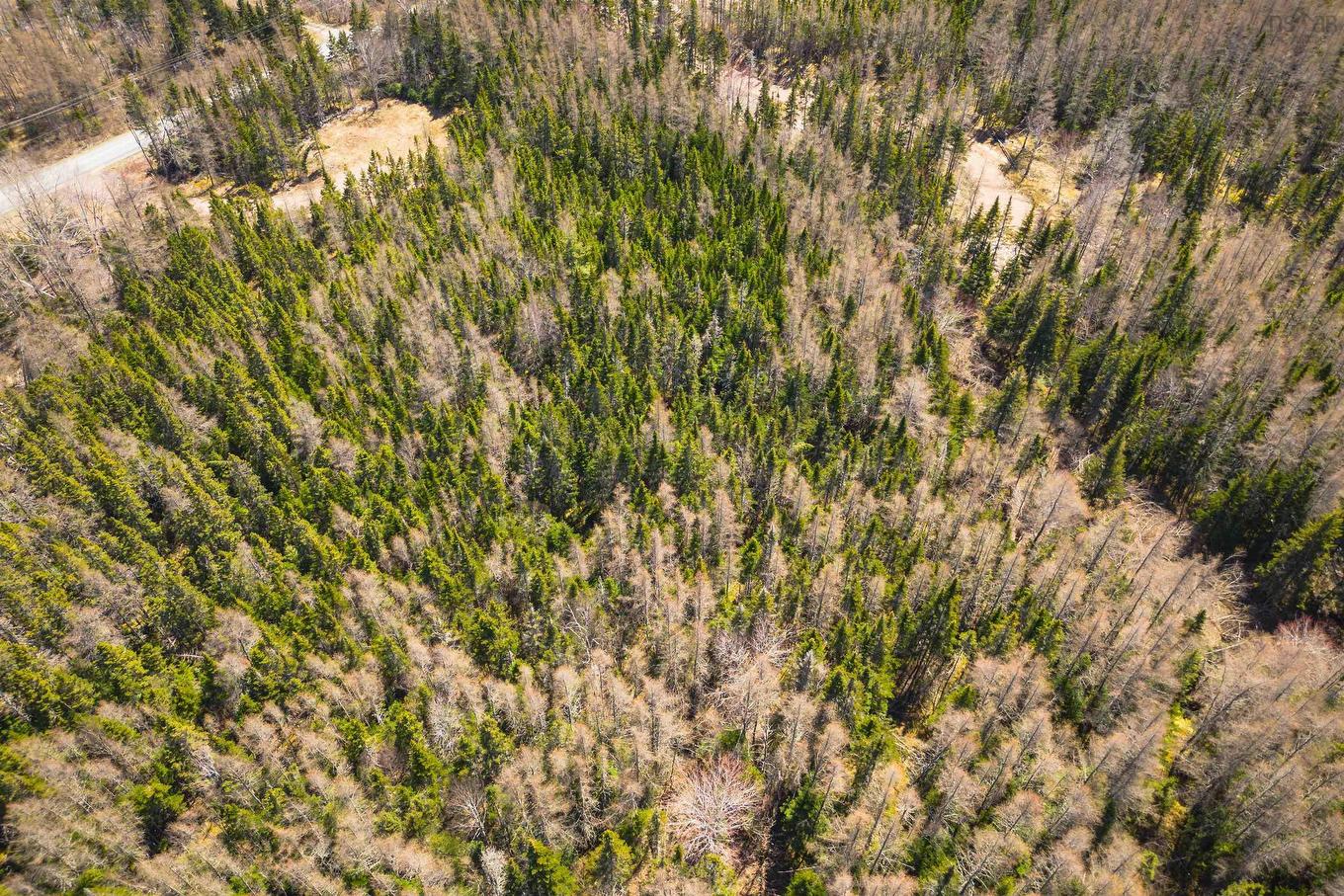 Lot 6 Highway 4, Cleveland, NS