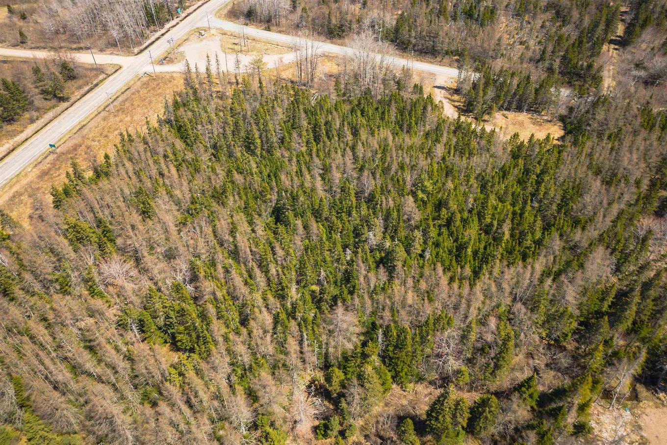 Lot 6 Highway 4, Cleveland, NS