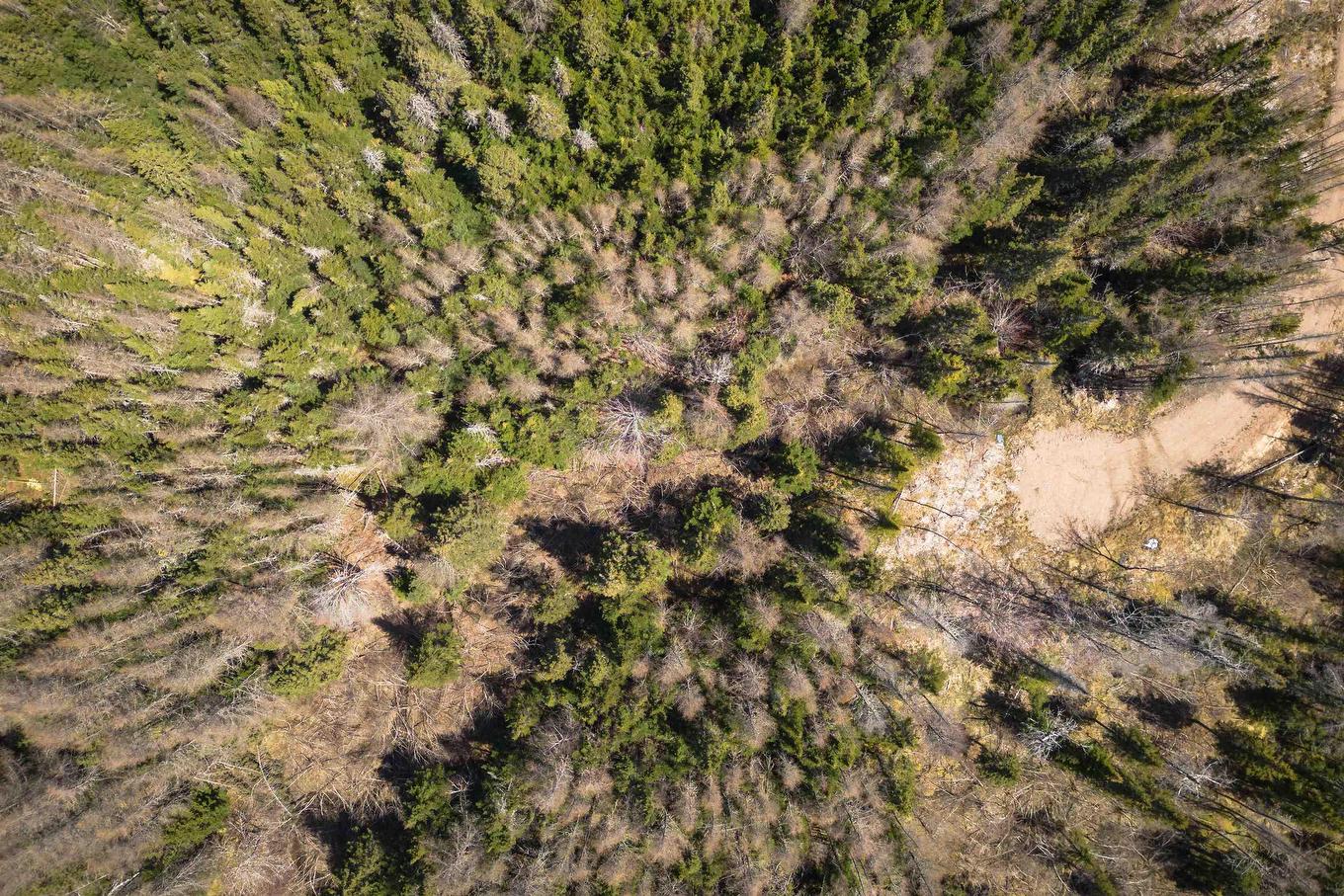 Lot 6 Highway 4, Cleveland, NS