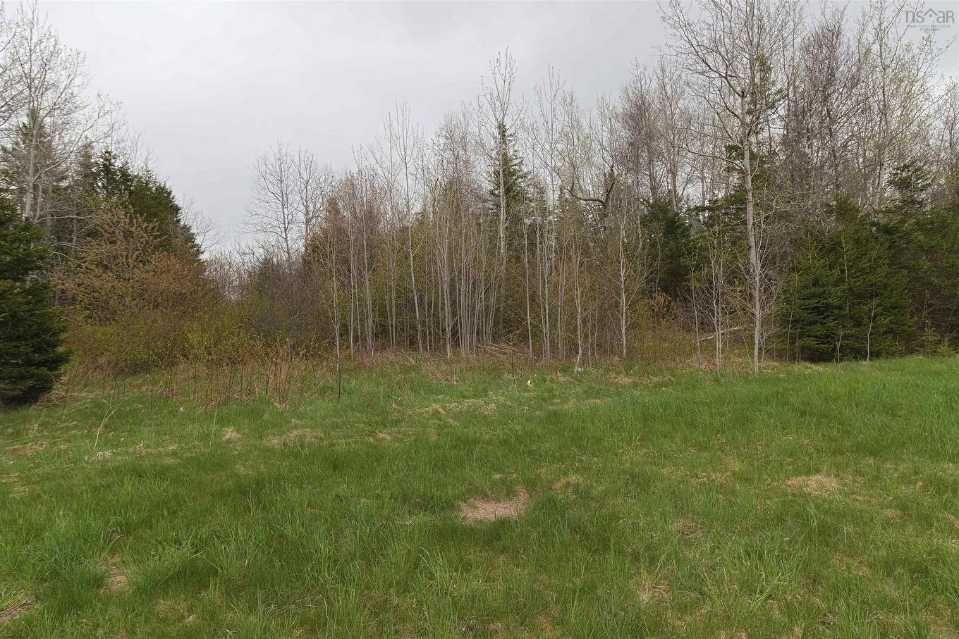 K-2 809 Newtonville Road, Forest Hill, NS