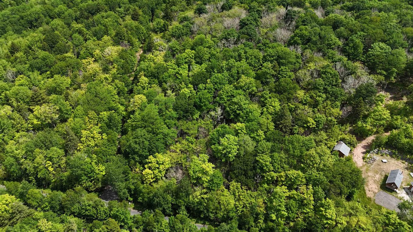 26 Hemlock Drive, Forties, NS