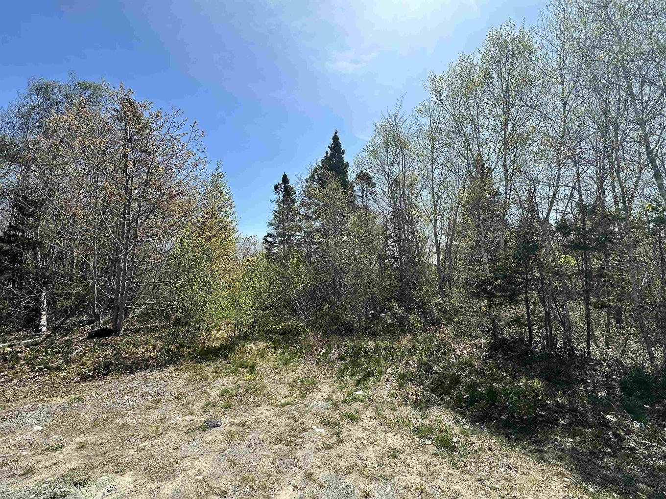 Lot White Point Connector, White Point, NS