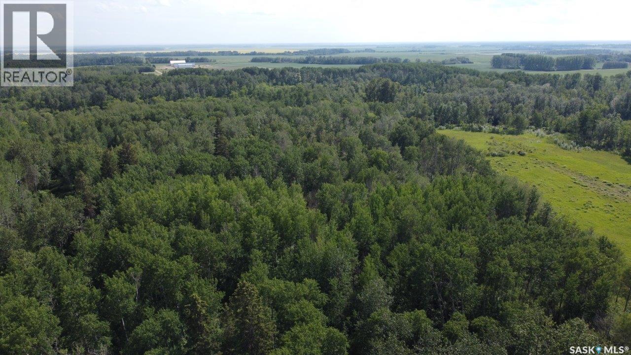 88 Acres Hudson Bay, Hudson Bay, SK