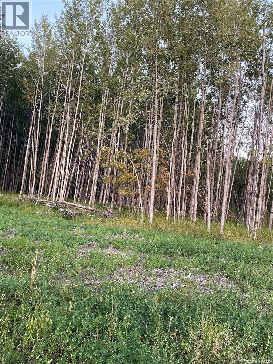 88 Acres Hudson Bay, Hudson Bay, SK