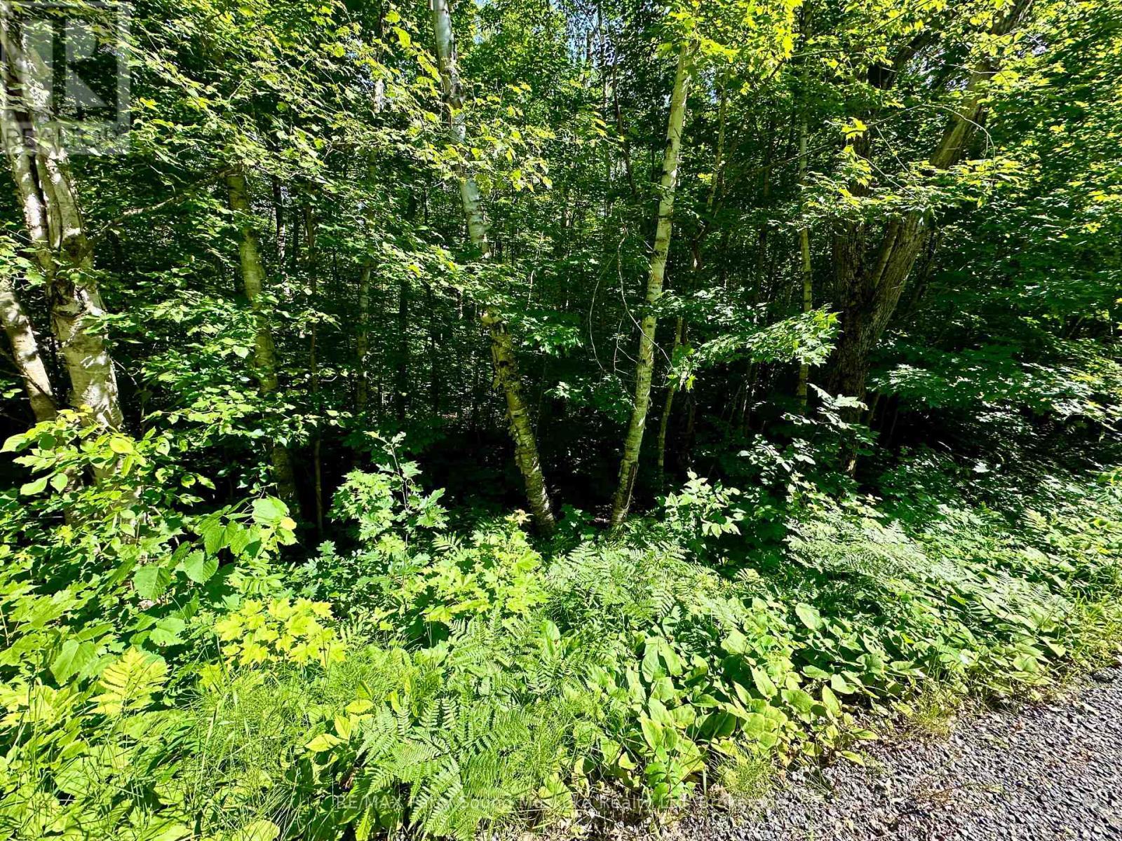 0 Frontenac Drive, Mckellar, ON